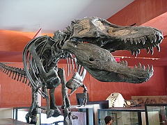 030 Cranbrook Institute of Science [2008 Jan 02]